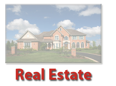 Real Estate